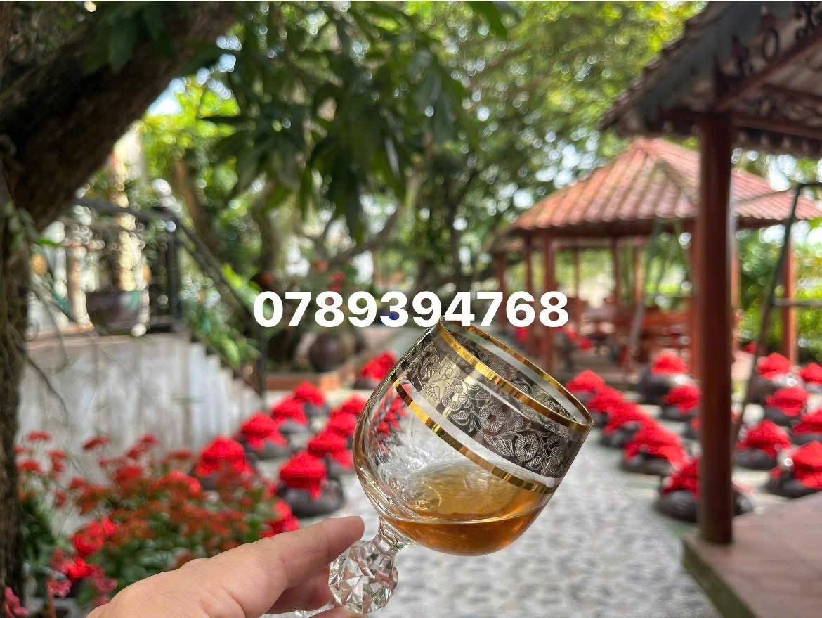 Hình ảnh Vườn Rượu hạ thổ đón xuân Bính Ngọ